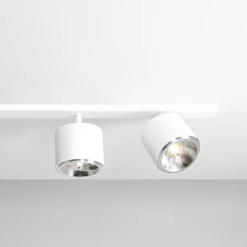 Biała lampa Bot - spot sufitowa, plafon 2+1 - Aldex (regulowana, ustawna 3xAR111) 1046PL/E