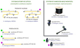 25m z wtyczką, przewód 16AWG, SPT-2 - AKCESORIA systemu 12V LED Polned (6260011)