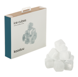 Reusable ice cubes, Kooduu - ePlafoniera