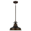 Industrialna / loftowa lampa wisząca Emery nad wyspę kuchenną / do jadalni (brąz palladiański) -  Quoizel (35cm / 1xE27)