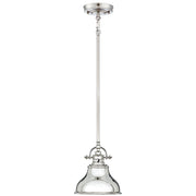 Industrialna lampa wisząca ze srebrem Emery 20cm - Quoizel
