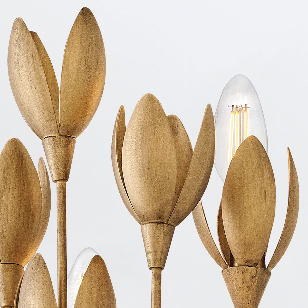 Kinkiet Flora - 3 źródła światła - Oksydowane złoto, Hinkley - ePlafoniera.pl