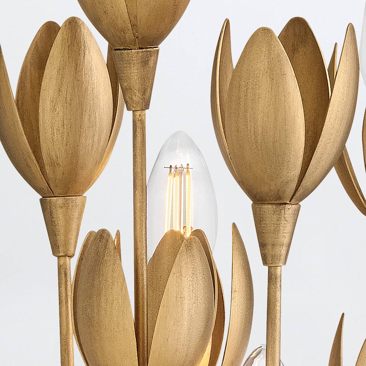 Kinkiet Flora - 3 źródła światła - Oksydowane złoto, Hinkley - ePlafoniera.pl