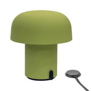 Sensa Moss, Kooduu - ePlafoniera