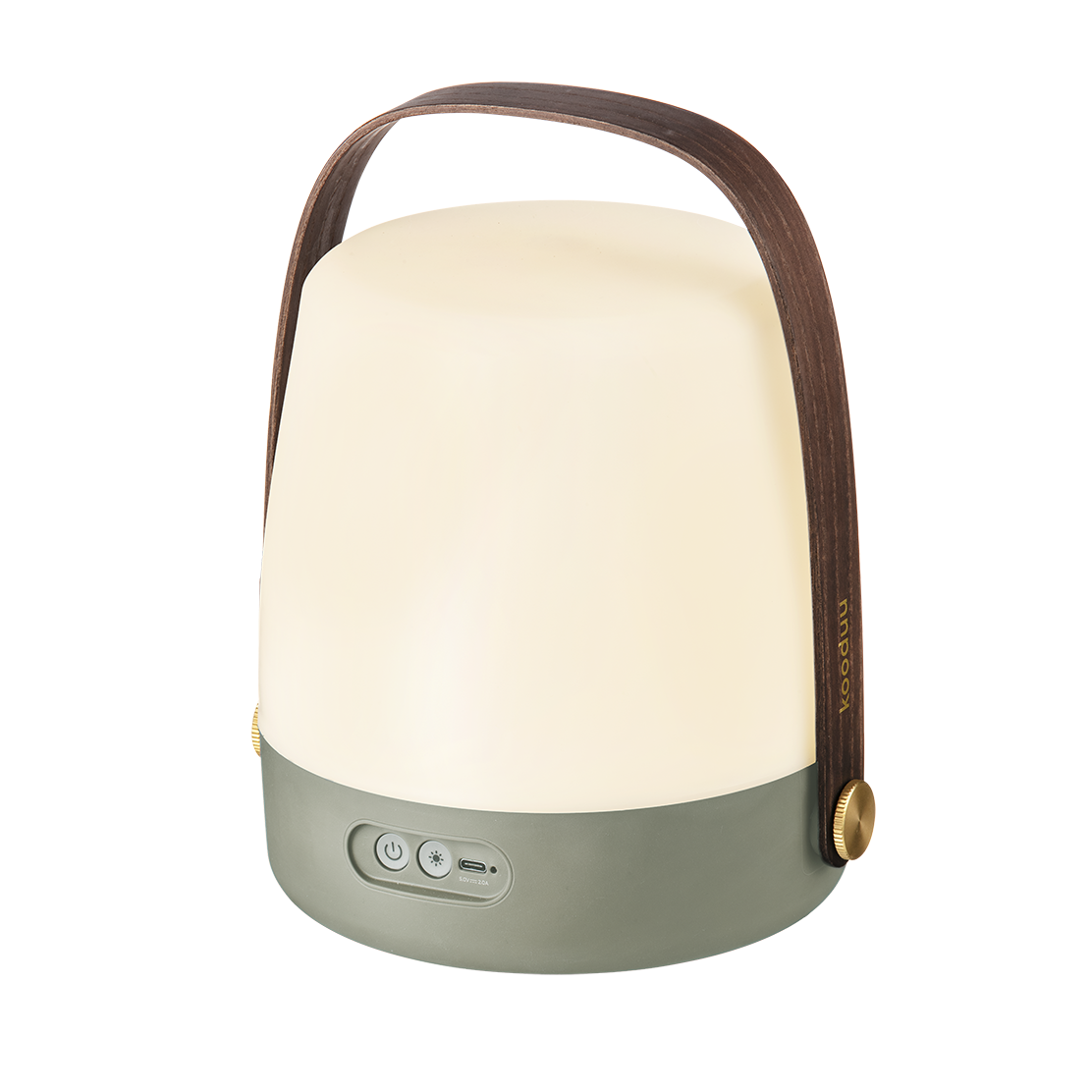 Lite-up Petroleum 2.0, Kooduu - ePlafoniera