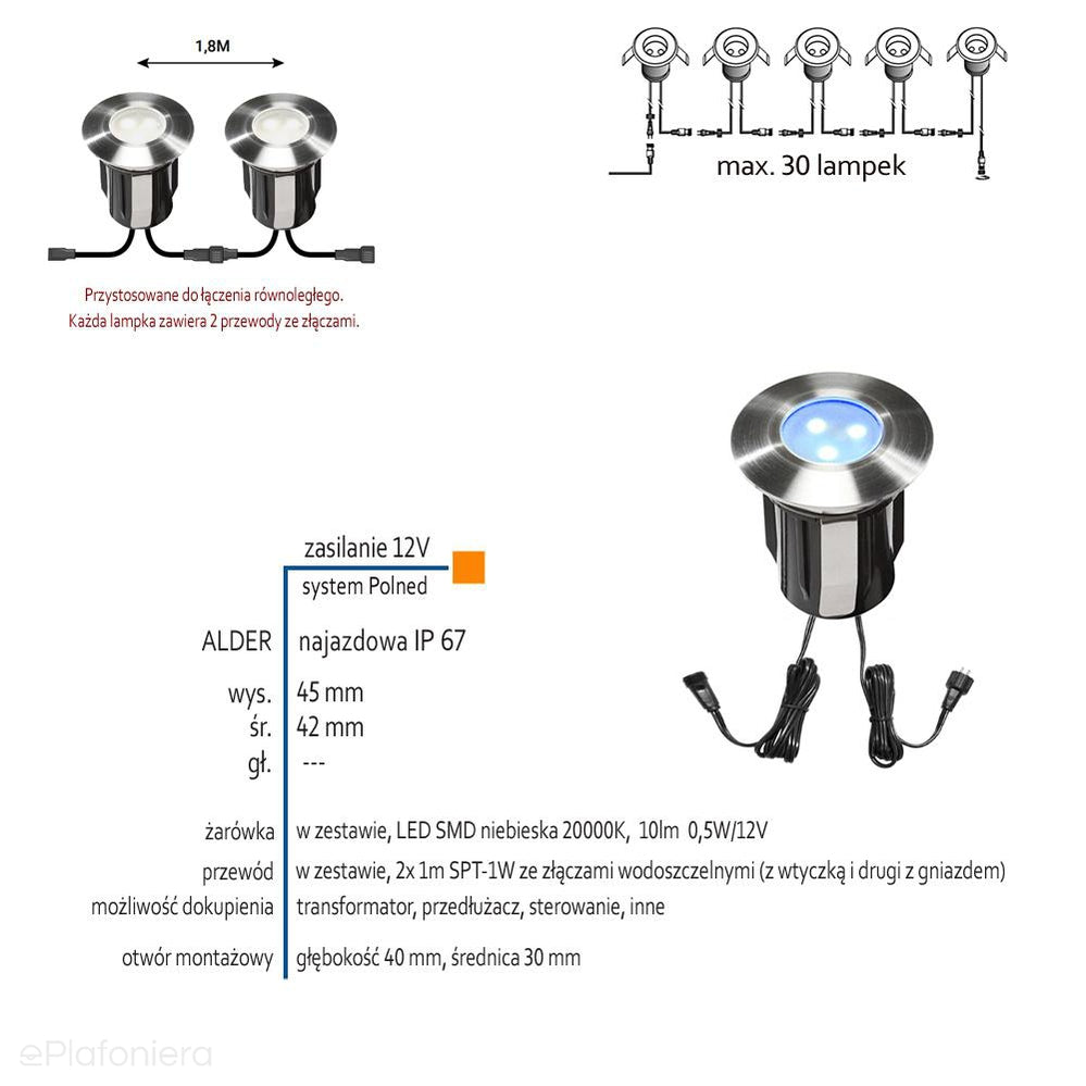 Lampa najazdowa/podwodna ogrodowa zewnętrzna IP 67 (0,5W, niebieska) (system 12V LED) Alpha