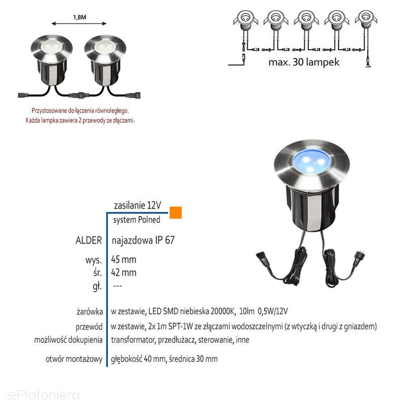 Lampa najazdowa/podwodna ogrodowa zewnętrzna IP 67 (0,5W, niebieska) (system 12V LED) Alpha