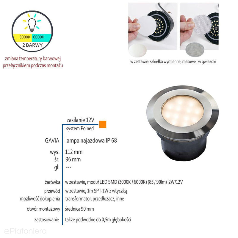 Lampa najazdowa/podwodna, ogrodowa zewnętrzna IP 68 (2W, 3000K/6000K) (system 12V LED) Gavia