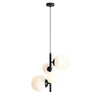 Lampa wisząca Bloom 4 Black (2xE14/2xE27) - Aldex (czarna, 1091L1)