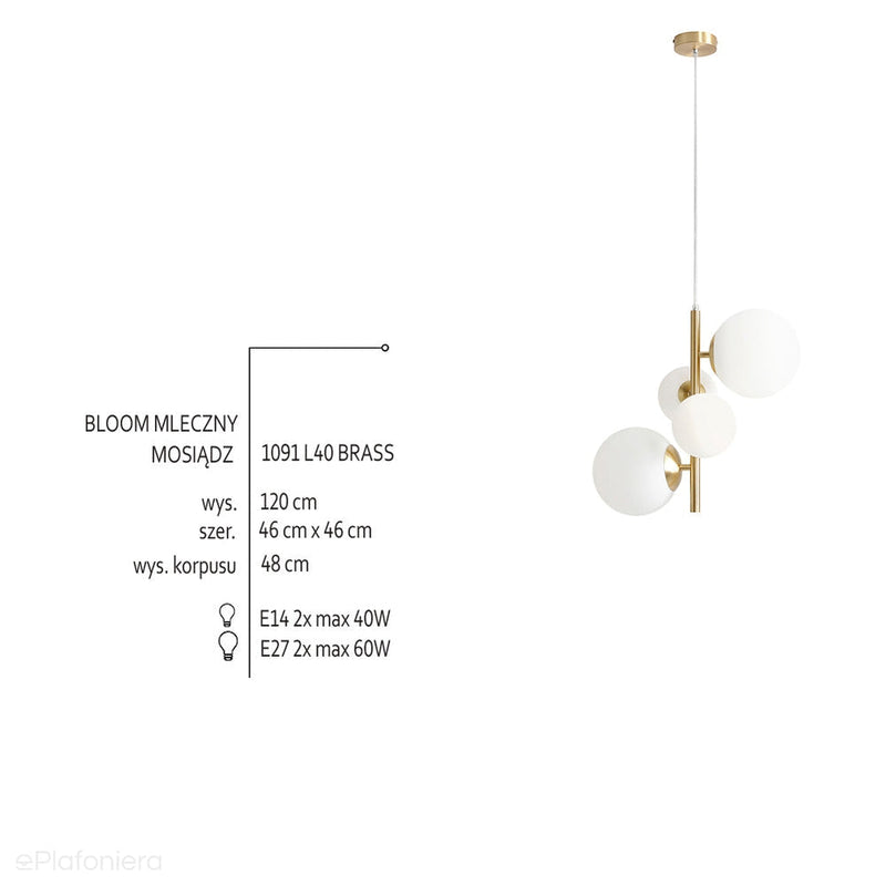 Lampa wisząca Bloom 4 Brass mosiądz - Aldex, 1091L40 (2xE14/2xE27)