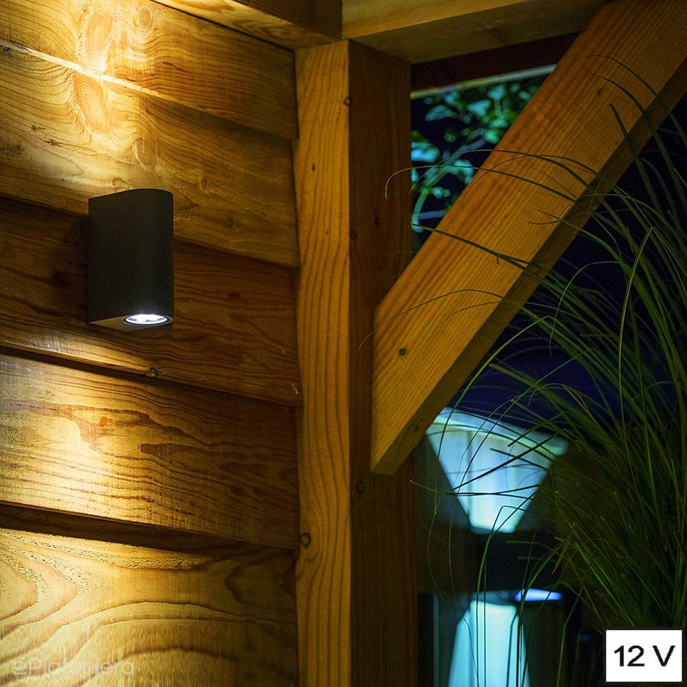 Lampa zewnętrzna - kinkiet, ogrodowy czarny IP 44 (2x4W, 3000K) (system 12V LED) Sibus