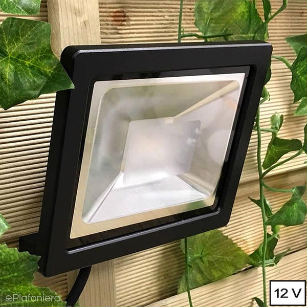 Reflektor kierunkowy, lampa ogrodowa naświetlacz IP 44 (12W, 3000K) (system 12V LED) Flood