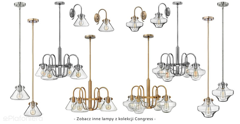 Lampa wisząca Congress (szczotkowany chrom) - Hinkley, pojedynczy klosz 20cm, 1xE27