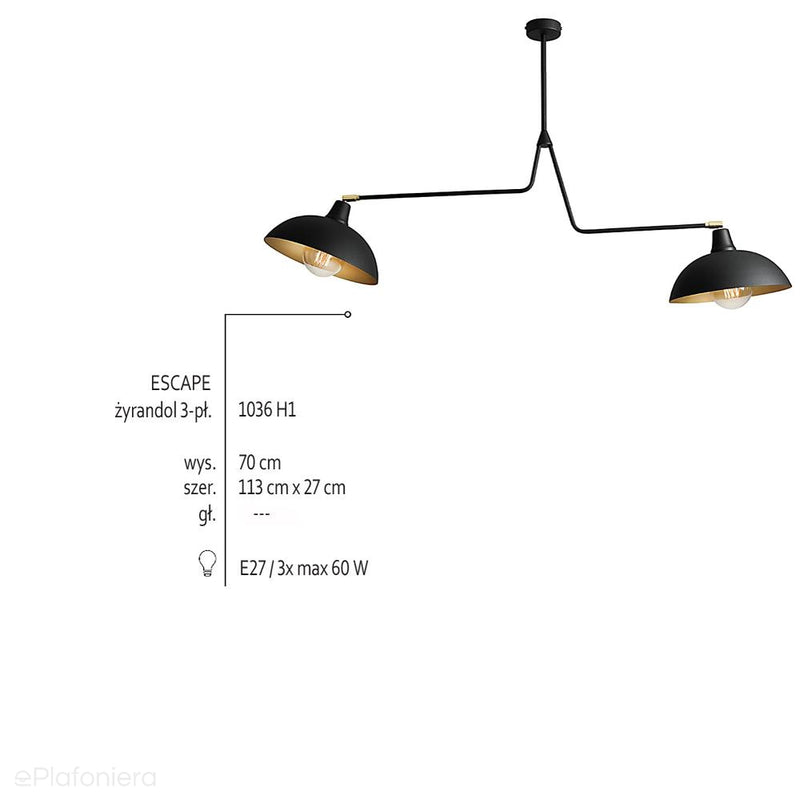 Czarna industrialna - loftowa lampa wisząca (żyrandol 2xE27) Aldex (Espace) 1036H1 - ePlafoniera