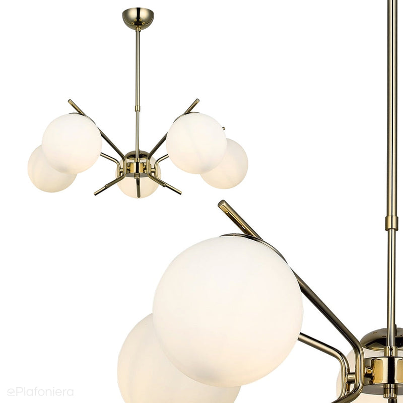 Złota lampa wisząca szklane klosze do salonu sypialni kuchni (5xE27) 1566-80-05 PETOS