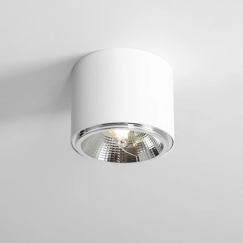 Biały plafon Bot - Aldex, lampa spot sufitowa (1xAR111) 1046PL/G