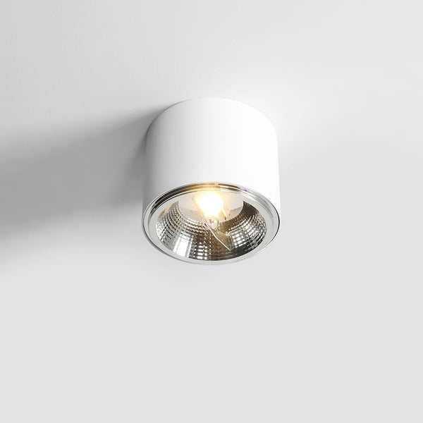 Biały plafon Bot - Aldex, lampa spot sufitowa (1xAR111) 1046PL/G