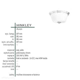 Lampa do łazienki sufitowa / plafon sufitowy Avon (szkło, polerowany chrom, 2xE27) - Hinkley