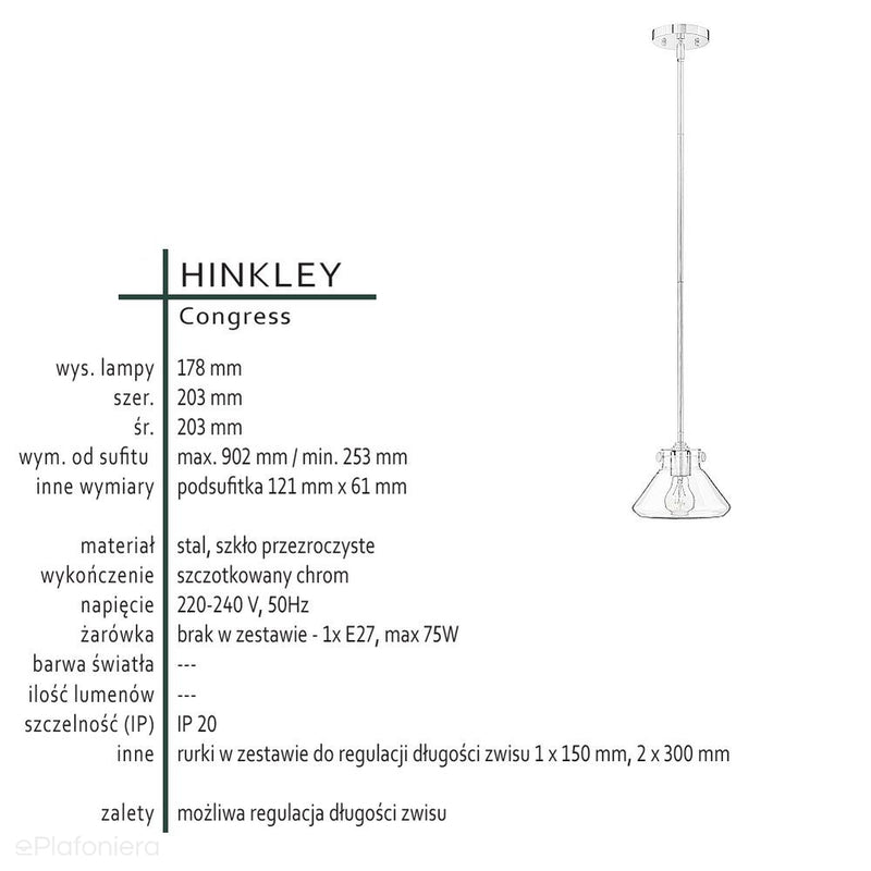 Lampa wisząca Congress (szczotkowany chrom) - Hinkley, pojedynczy klosz 20cm, 1xE27