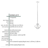 Nowoczesna lampa wisząca Congress (szczotkowany chrom) - Hinkley, pojedynczy klosz 22cm, 1xE27