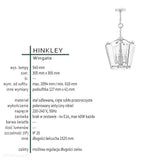 Szklana lampa wisząca Wingate do salonu / jadalni / nad stół - Hinkley (30x30cm / 4xE14)